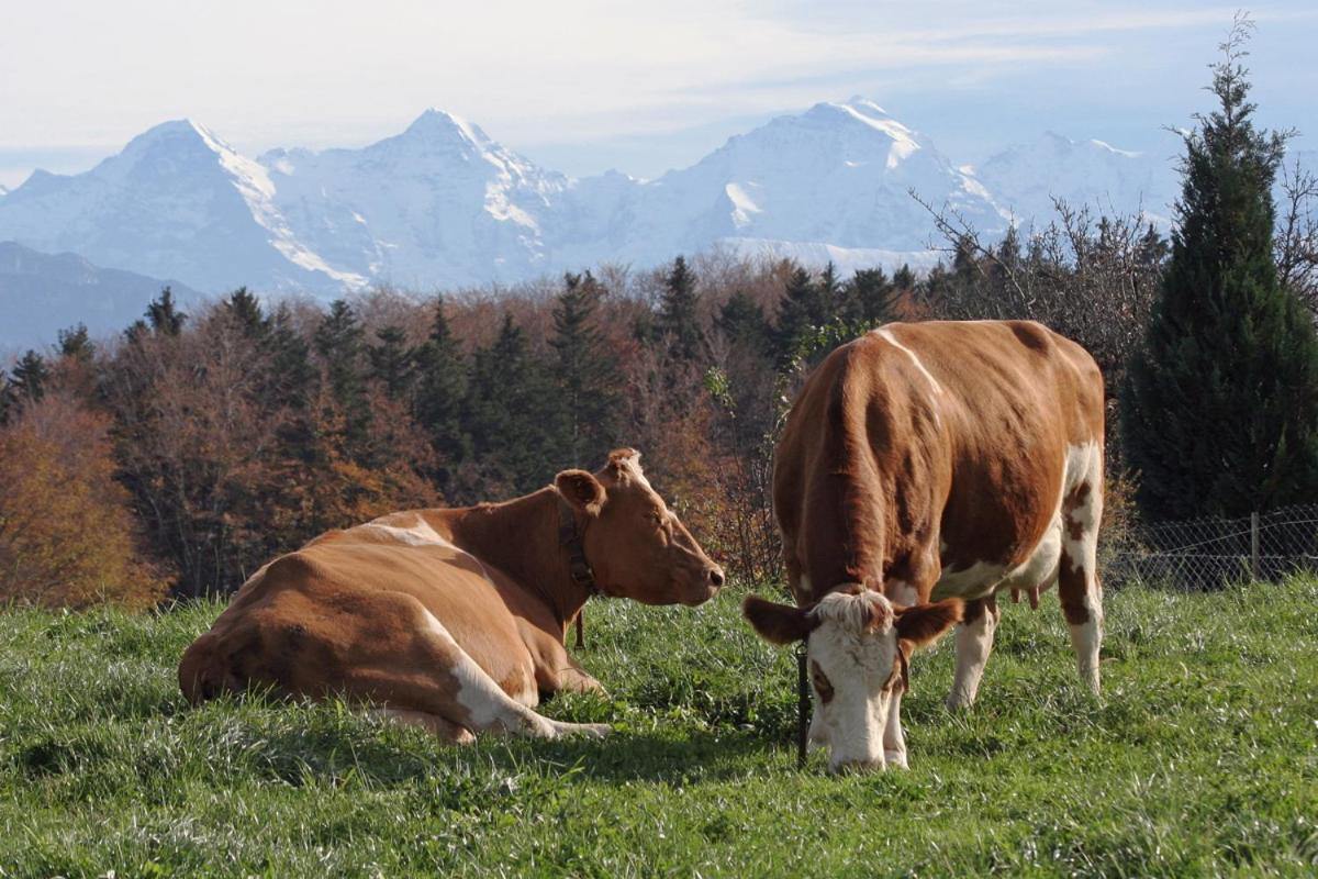 Mountain Home - Ein Aufenthalt Mit Weitblick Niedermuhlern ภายนอก รูปภาพ