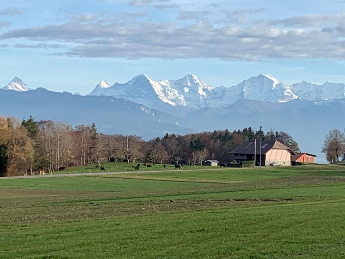 Mountain Home - Ein Aufenthalt Mit Weitblick Niedermuhlern ภายนอก รูปภาพ